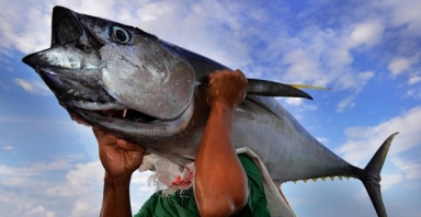 Xuất khẩu cá ngừ sang Italy tăng gấp 3 lần