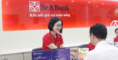 Con trai Phó Chủ tịch SeABank thoái bớt vốn tại công ty của mẹ