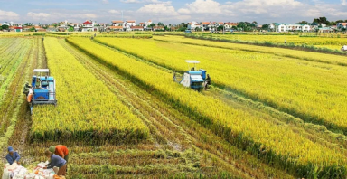 Điểm tin xây dựng - bất động sản ngày 5/2: Đề xuất miễn, giảm tiền thuê đất nông nghiệp để thúc đẩy đầu tư nông...