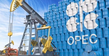 Điểm nổi bật của thị trường dầu mỏ toàn cầu của OPEC