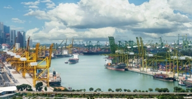 Từ cảng biển đến đô thị logistics quốc tế: Thâm Quyến, Singapore và diện mạo Hải Phòng