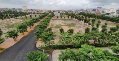 Điểm tin xây dựng - bất động sản ngày 2/6: Giao đất không qua đấu giá sẽ do Chủ tịch tỉnh quyết định từ 1/7