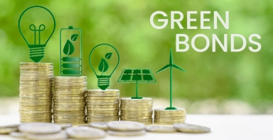 Trái phiếu xanh: Công cụ tài chính quan trọng để Việt Nam đạt mục tiêu Net Zero