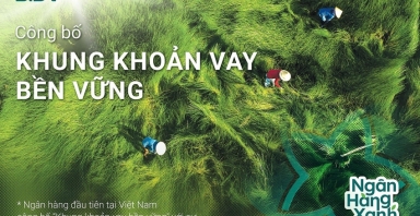 BIDV vào top 20 cổ phiếu phát triển bền vững nhất Việt Nam  lần thứ II liên tiếp