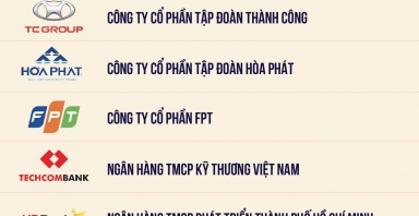 Vingroup, Thaco, TC Group, Hòa Phát, FPT dẫn đầu doanh nghiệp tư nhân nộp ngân sách 2024