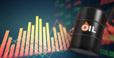Citi lý giải về kịch bản giá dầu 50 USD