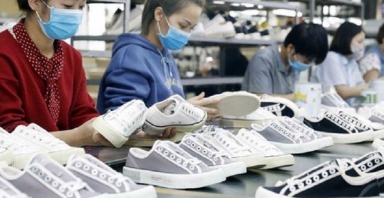 Tỷ lệ nội địa hóa nguyên phụ liệu ngành da giày mới đạt 50%