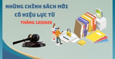 Những chính sách mới có hiệu lực từ tháng 12/2025