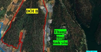 Lâm Đồng: Xây dựng khu du lịch sinh thái trong rừng tự nhiên