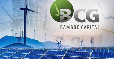 Bamboo Capital báo lãi khủng trước khi cổ phiếu bị hạn chế giao dịch trên sàn chứng khoán