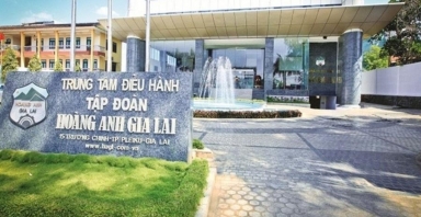 Hoán đổi nợ thành cổ phiếu: Một doanh nghiệp chính thức đặt chân vào nhóm cổ đông lớn HAGL