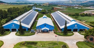 Doanh nghiệp với những 'từ khóa' cho mục tiêu Net Zero 2050