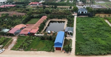 Hà Nội yêu cầu tăng cường kiểm tra, xử lý vi phạm trong quản lý, sử dụng đất nông nghiệp