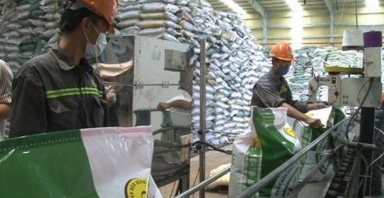 Giá phân bón hôm nay 26/9: Duy trì ổn định