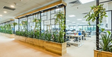 Hà Nội: Thị trường văn phòng cho thuê hướng đến các dự án xanh