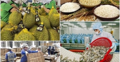 Việt Nam Xuất khẩu nông lâm thủy sản đạt hơn 29 tỷ USD trong 2 quý đầu năm