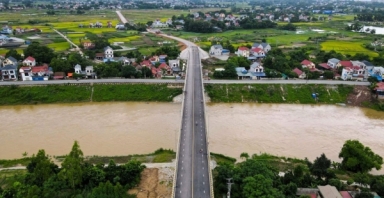 Công ty Cổ phần Đại Thiên Trường bị loại tại nhiều gói thầu lớn do gian lận hồ sơ