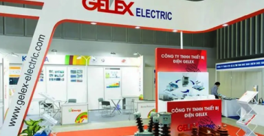 GELEX Electric chi 300 tỷ đồng trả cổ tức năm 2024