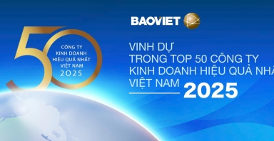 Bảo Việt (BVH): Top 50 Công ty kinh doanh hiệu quả nhất Việt Nam 2025