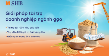 SHB ra mắt giải pháp tài trợ linh hoạt cho ngành gạo, đồng hành cùng Chính phủ phát triển nông nghiệp bền vững
