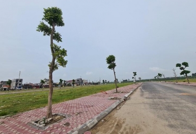 Tin bất động sản ngày 4/6: Huyện Mê Linh đấu giá 17 lô đất, giá trúng cao nhất 85 triệu đồng/m2