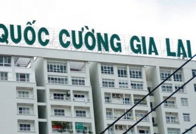 Quốc Cường Gia Lai bị xử phạt và truy thu thuế khoảng 2,3 tỷ đồng