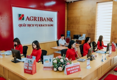 TP HCM: Agribank bán đấu giá nhiều lô đất để thu hồi nợ