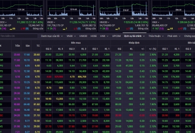 Chỉ số Vn-Index bất ngờ bật tăng hơn 17 điểm