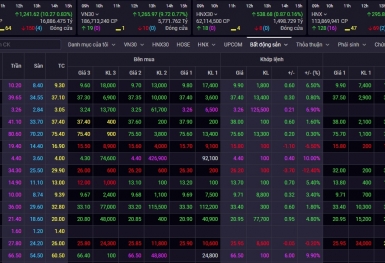 Cổ phiếu nhỏ và vừa đẩy Vn-Index tiếp tục tăng cao