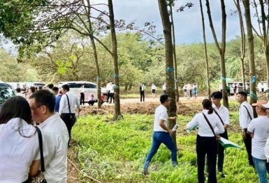 Chuyện về chuyến đi xem đất nhớ đời: Rao bán đất Nhà Bè nhưng lại xem đất tận ở Bình Dương