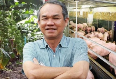 Giá chuối không cao như kỳ vọng, giá heo giảm, HAGL vẫn báo lãi 113 tỷ trong tháng 9