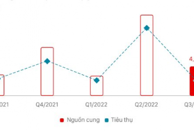 Nguồn cung căn hộ TP. Hồ Chí Minh và vùng phụ cận giảm mạnh