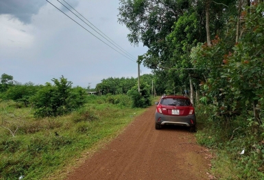 Lỡ lướt sóng thành “ôm bom”, nhà đầu tư non vốn nên cắt lỗ hay cố giữ tài sản chờ thị trường?