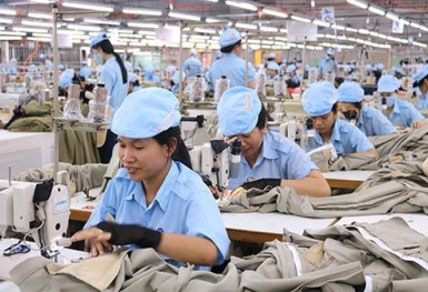 Thị giá 300 đồng, một công ty may chuẩn bị trả cổ tức bằng tiền mặt 2.000 đồng/cp