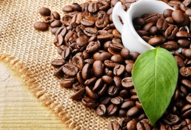 Giá cà phê hôm nay 21/11: Trong nước ghi nhận đồng loạt dưới 40.000 đồng/kg