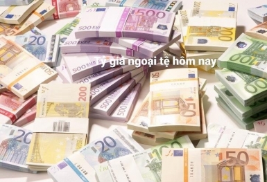 Tỷ giá ngoại tệ hôm nay 14/12: Đồng USD rớt giá