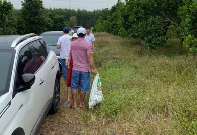 “Thời tới” cho người sẵn tiền mặt: Mua 1 gấp 3?
