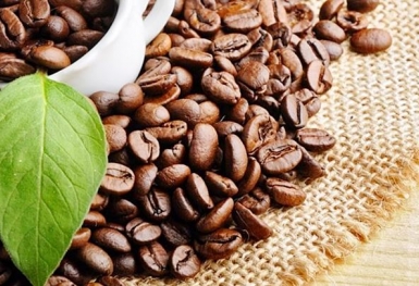 Giá cà phê hôm nay 20/12: Dao động từ 40.100 - 40.900 đồng/kg