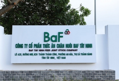 Nông nghiệp BAF Việt Nam thông qua kế hoạch phát hành và sử dụng 600 tỷ đồng trái phiếu