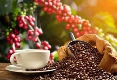 Giá cà phê hôm nay 18/1: Arabica quay đầu giảm theo đà của thị trường London