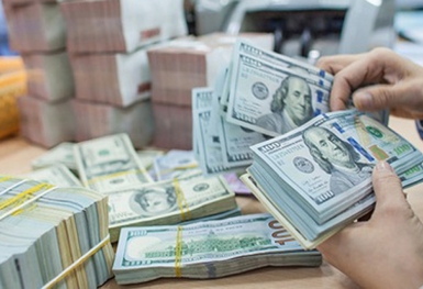 Tỷ giá ngoại tệ hôm nay 31/1: Đồng USD tăng trở lại