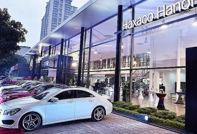 Haxaco phát hành 15 triệu cổ phiếu chuyển đổi trái phiếu giá 12,000 đồng/cổ phiếu