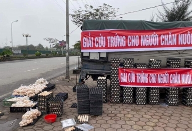 Nghịch lý: Mặt hàng chứng kiến khủng hoảng tại Mỹ, người dân không có để mua lại đang được bày bán giải cứu tràn lan...