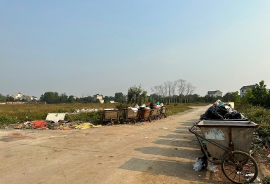 Sau cơn sốt, đất nền phân lô thành nơi tập kết rác, trồng chuối, thả gà