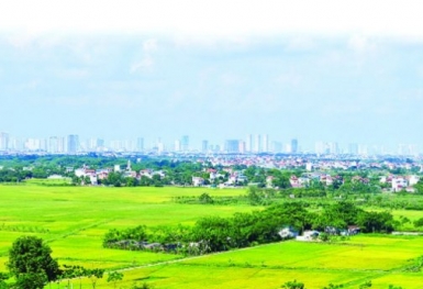 HoREA đề nghị sửa đổi, bổ sung về “quyền chung của người sử dụng đất”
