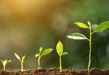 Công ty tự nhận kinh doanh ngành nhạy cảm tăng trưởng hơn 30%, vượt kế hoạch 140%