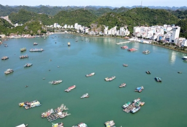 Khu du lịch, dịch vụ thương mại Vịnh trung tâm Cát Bà vẫn chưa có chủ sau 2 lần đấu giá