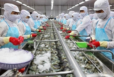 Thủy sản Nam Việt giải thể công ty con chuyên về bất động sản sau hơn 1 năm thành lập