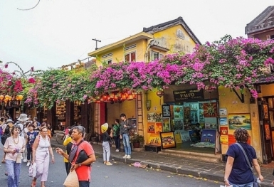 Xung quanh tấm vé tham quan phố cổ Hội An