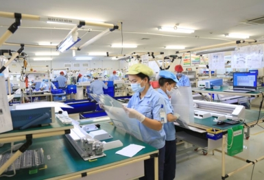 Mỗi tháng có 17,6 nghìn doanh nghiệp rút lui khỏi thị trường